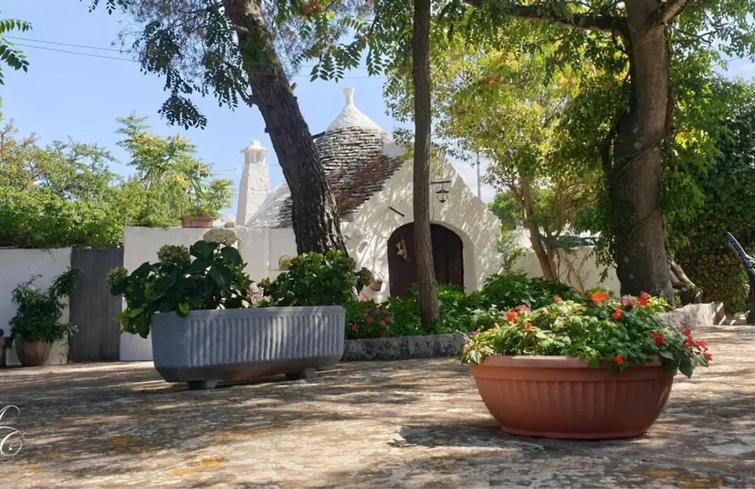 Harry'S House-1